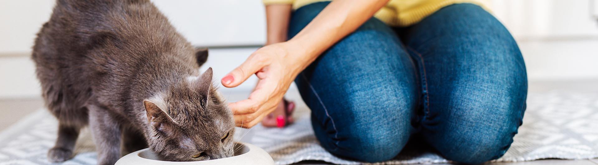 Renforcement desktop