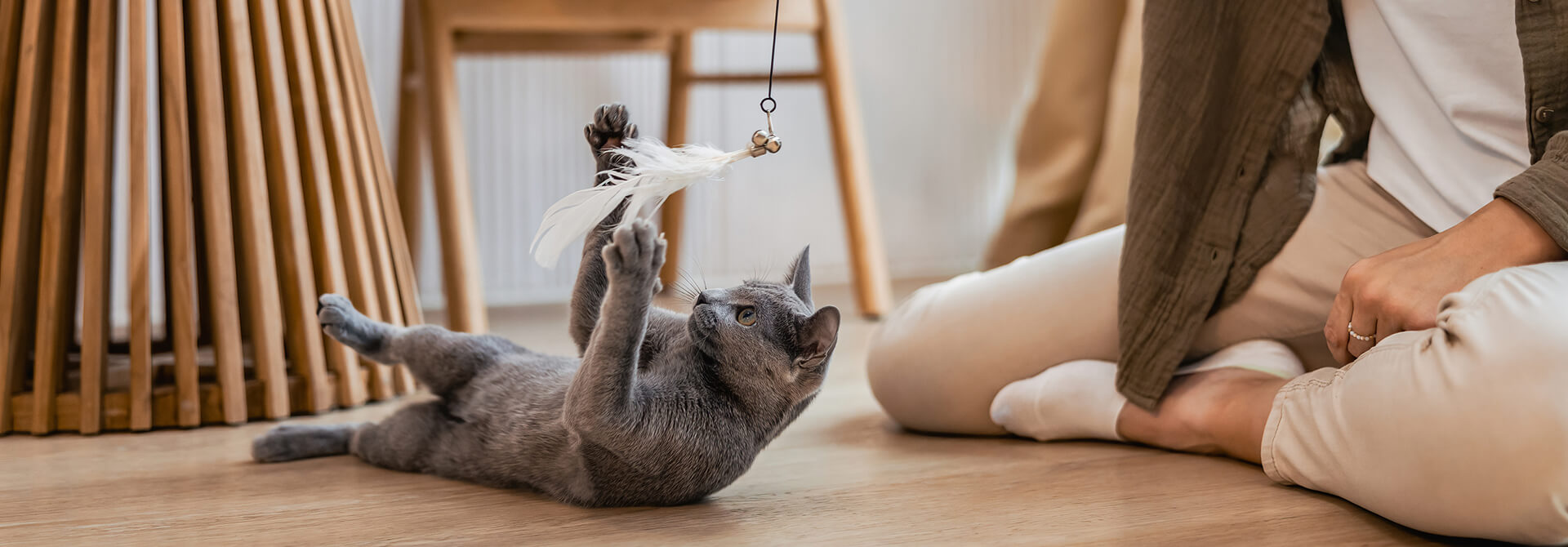 content hub hero desktop