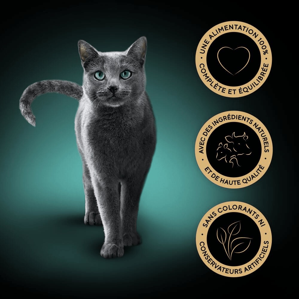 Sélection Du Boucher En Sauce 4 x 85g - Mini Filets - 5