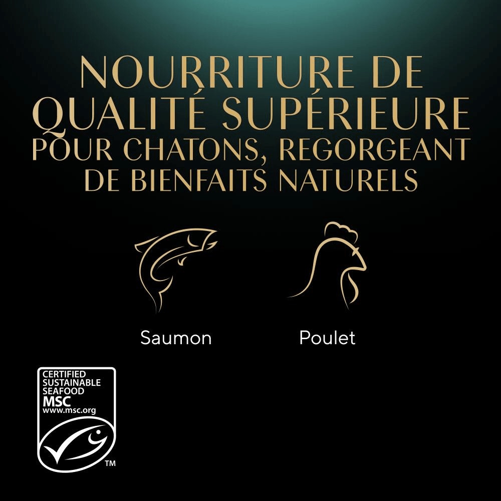 Sélection Mixte En Sauce 12 x 85g - Kitten - 4