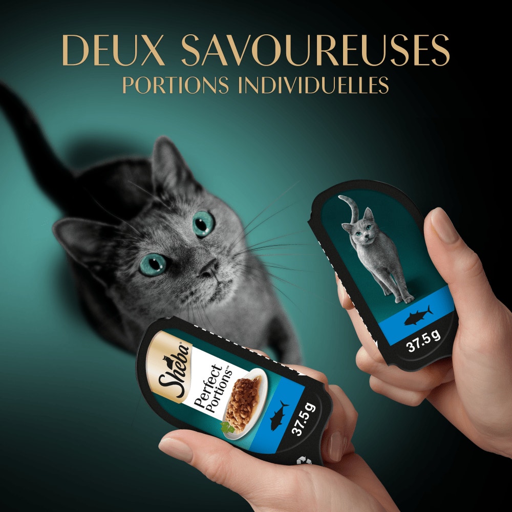 Thon MSC - PERFECT PORTIONS™ 6 x 37,5g - 2